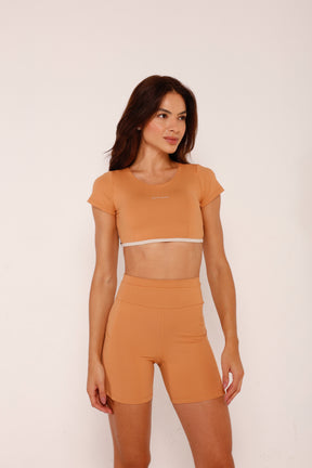 Conjunto Shine